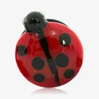 Alargador Plug Vidro Joaninha com Estampa Artística Única