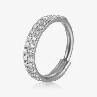 Argola clicker titânio com zircônia dupla frontal luxo