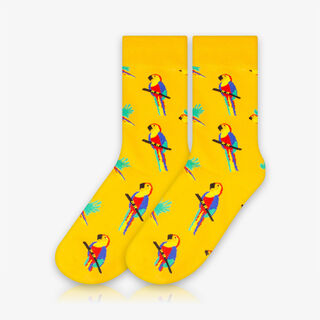 Meia Cano Alto Papagaios - Meias Divertidas