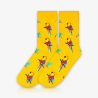 Meia Cano Alto Papagaios é na ALARGS