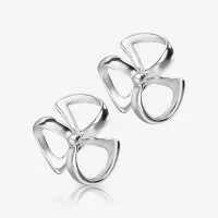 Brinco de Prata Catavento com Design Delicado e Feminino