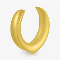 Plug Aço Cirúrgico Dourado Volta: Estilo e Qualidade| ALARGS